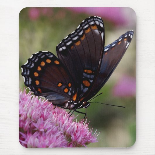 Butterfly mousepad muismat (Voorkant)