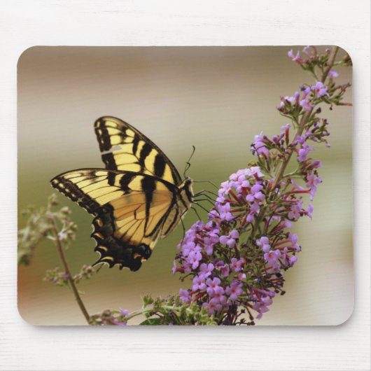 Butterfly Mousepad Muismat (Voorkant)