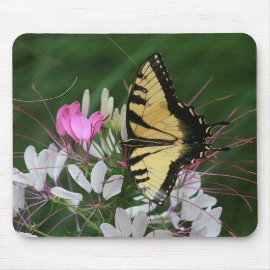 Butterfly Mousepad Muismat (Voorkant)