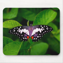 Butterfly Muismat