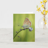 Butterfly Natuur Foto Kaart (Gele Bloem)