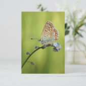 Butterfly Natuur Foto Kaart (Staand voorkant)