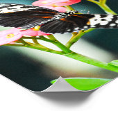 Butterfly Natuur Insecten Roze Bloemen Poster (Hoek)