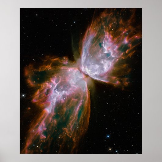 Butterfly Nebula Poster (Voorkant)