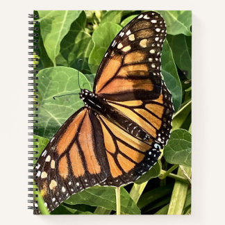 Butterfly Notebook Notitieboek