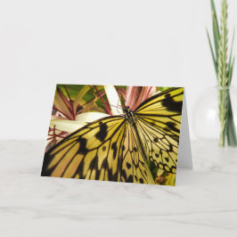 Butterfly Notecard Kaart
