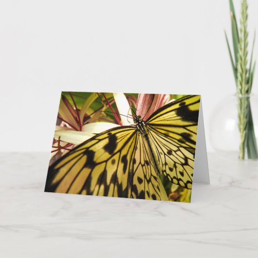 Butterfly Notecard Kaart (Voorkant)