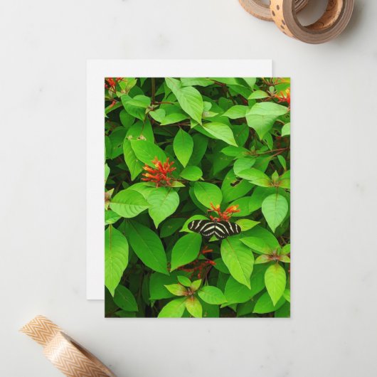 Butterfly Notecard Notitiekaartje (Voorkant / Achterkant in situ)