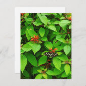 Butterfly Notecard Notitiekaartje (Voorkant / Achterkant)