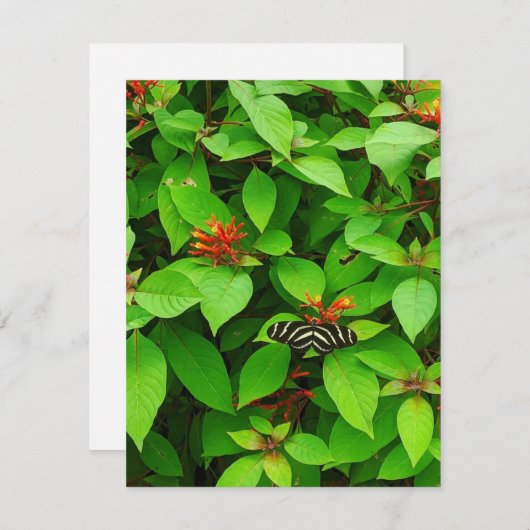 Butterfly Notecard Notitiekaartje (Voorkant / Achterkant)