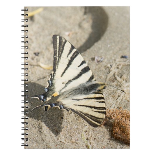 Butterfly Notitieboek (Voorkant)