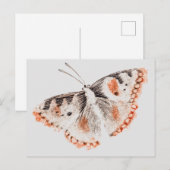  Butterfly Old Illustration Briefkaart (Voorkant / Achterkant)