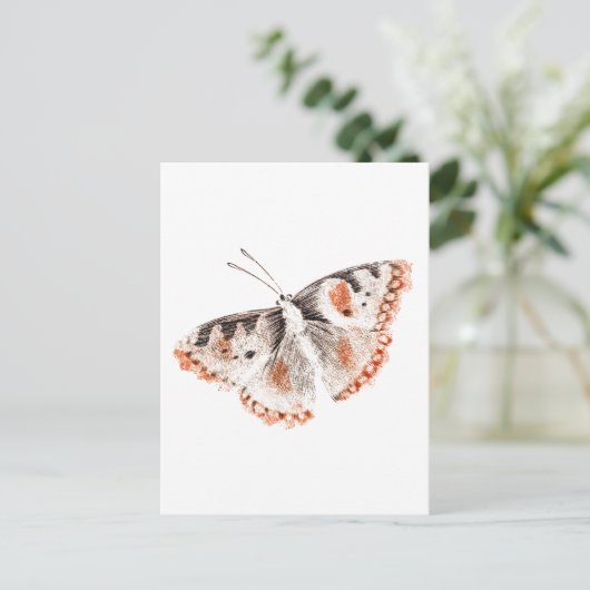  Butterfly Old Illustration Briefkaart (Staand voorkant)