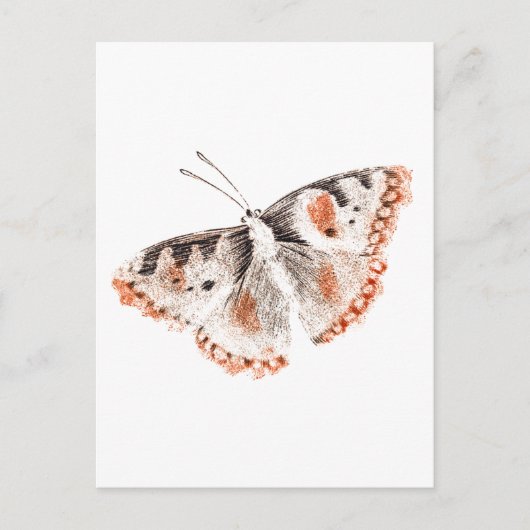 Butterfly Old Illustration Briefkaart (Voorkant)