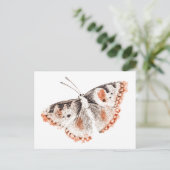  Butterfly Old Illustration Briefkaart (Staand voorkant)