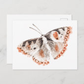  Butterfly Old Illustration Briefkaart (Voorkant / Achterkant)
