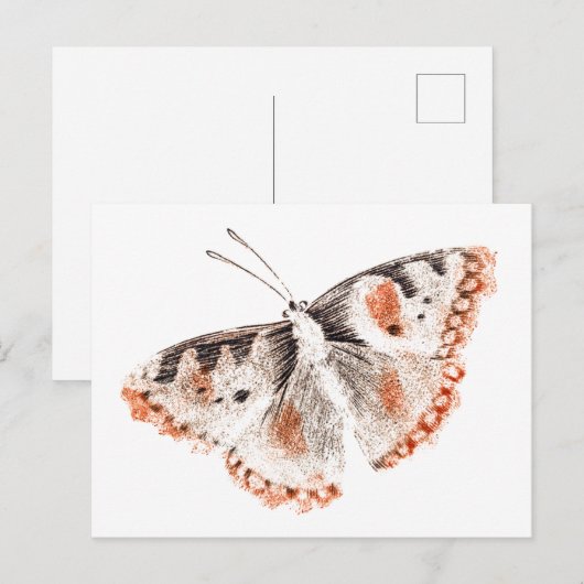 Butterfly Old Illustration Briefkaart (Voorkant / Achterkant)