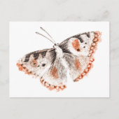 Butterfly Old Illustration Briefkaart (Voorkant)
