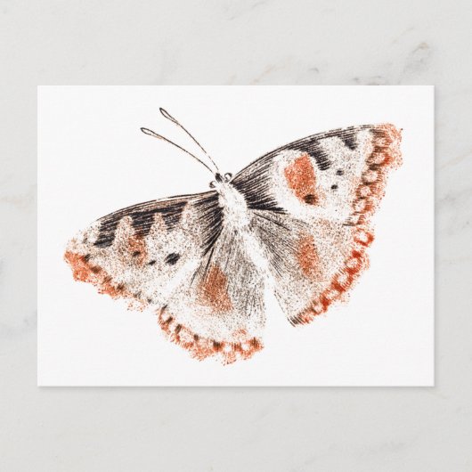  Butterfly Old Illustration Briefkaart (Voorkant)