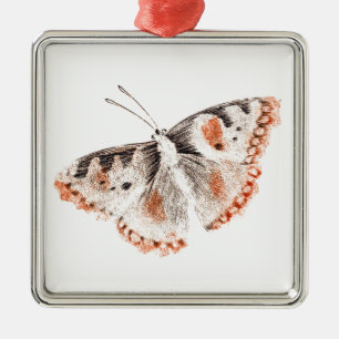  Butterfly Old Illustration Metalen Ornament