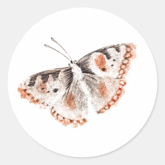  Butterfly Old Illustration Ronde Sticker (Voorkant)