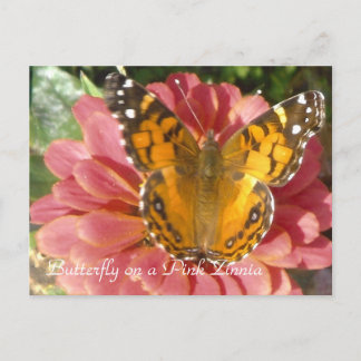 Butterfly on a Pink Zinnia Briefkaart