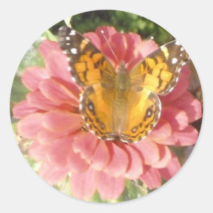 Butterfly on a Pink Zinnia Ronde Sticker