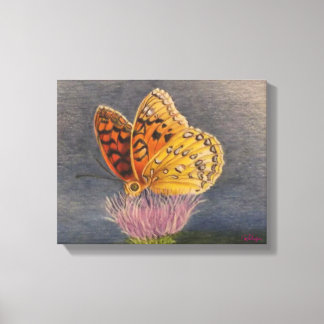Butterfly on a Thistle Canvas Afdruk