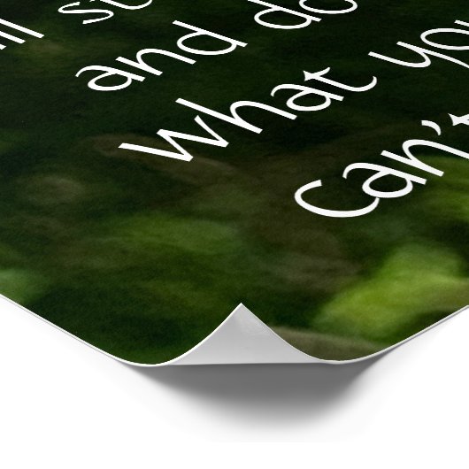 Butterfly on Basketflower, Poster Scriptversie Ver (Hoek)