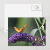 Butterfly on Butterfly Struik Blossom Briefkaart (Voorkant / Achterkant)