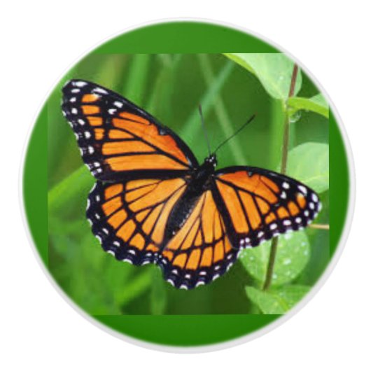 Butterfly on Ceramic Knobs and Pulls Keramische Knop (Voorkant)