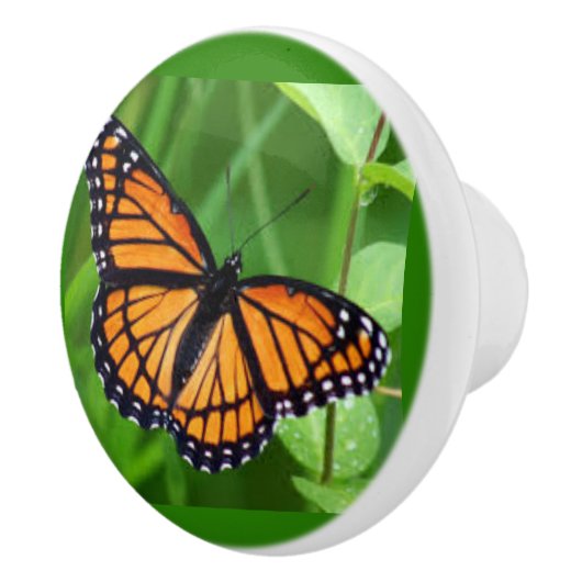 Butterfly on Ceramic Knobs and Pulls Keramische Knop (Rechts)