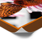 Butterfly on Coneflower Abstract Poster (Hoek)