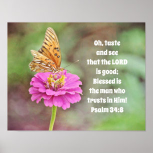 Butterfly on Flower Bible Scripting Poster