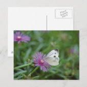 Butterfly on flower briefkaart (Voorkant / Achterkant)