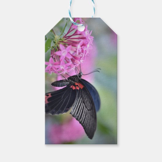 Butterfly on flower cadeaulabel (Voorkant)