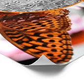 Butterfly On Flower Lijst Creëer Uw eigen foto Poster (Hoek)