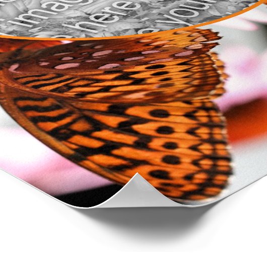 Butterfly On Flower Lijst Creëer Uw eigen foto Poster (Hoek)