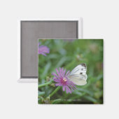 Butterfly on flower magneet (Voorkant / Achterkant)