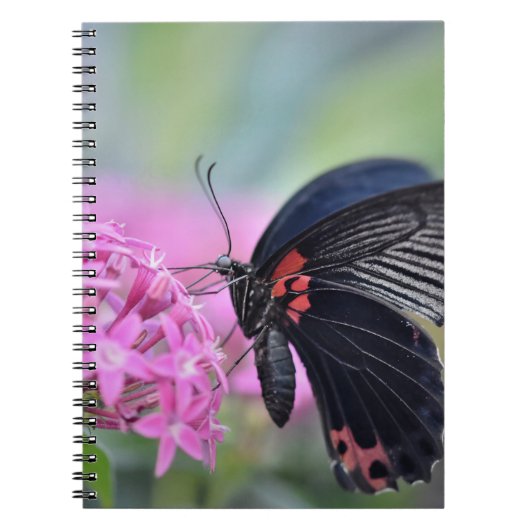 Butterfly on flower notitieboek (Voorkant)