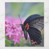 Butterfly on flower wijn etiket (Enkel label)