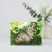Butterfly on Jasmine Tropical Natuur Photography Briefkaart (Staand voorkant)