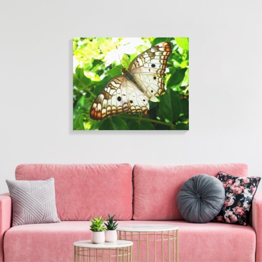 Butterfly on Jasmine Tropical Natuur Photography Canvas Afdruk (Insitu (Woonkamer))