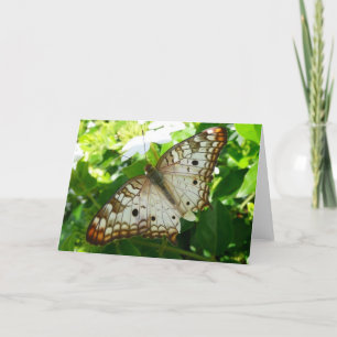 Butterfly on Jasmine Tropical Natuur Photography Kaart