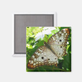 Butterfly on Jasmine Tropical Natuur Photography Magneet (Voorkant / Achterkant)