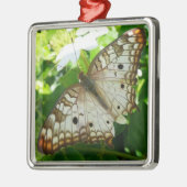 Butterfly on Jasmine Tropical Natuur Photography Metalen Ornament (Links)