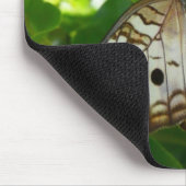 Butterfly on Jasmine Tropical Natuur Photography Muismat (Hoek)