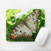 Butterfly on Jasmine Tropical Natuur Photography Muismat (Met muis)