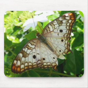 Butterfly on Jasmine Tropical Natuur Photography Muismat