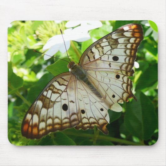 Butterfly on Jasmine Tropical Natuur Photography Muismat (Voorkant)